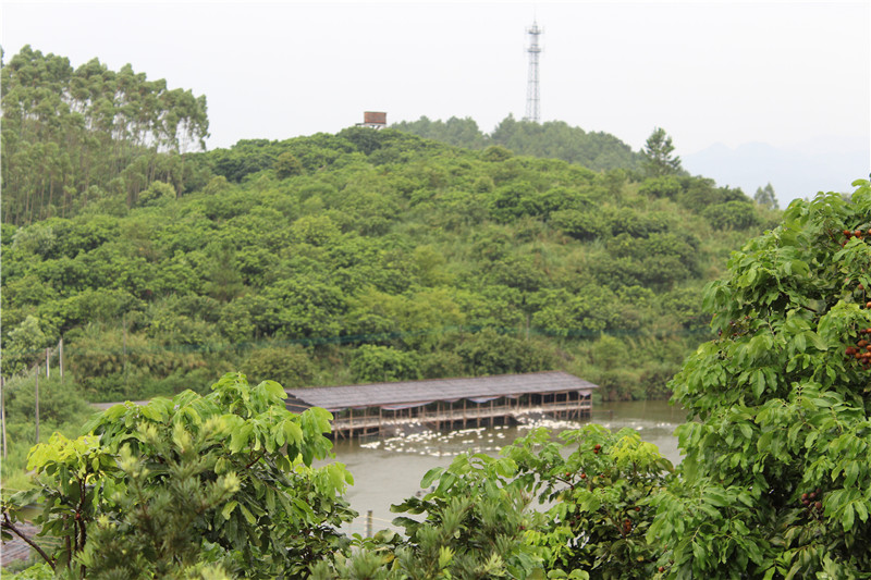 鎰辰,鎰辰集團(tuán),鎰辰智造,鎰辰鋼鐵,奧特浦斯,天津奧特浦斯